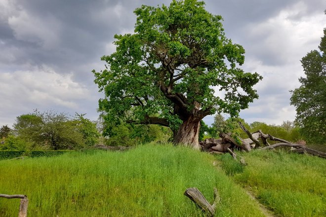 Foto: NaturFreunde Brandenburg